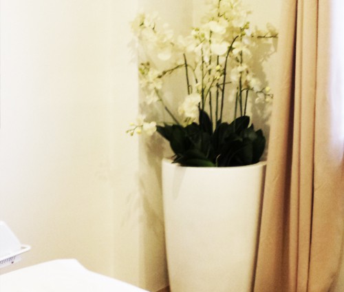 anim-photo-thi-huong-3